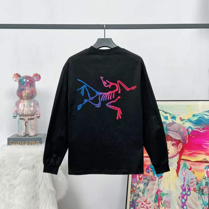 Picture of Arcteryx T Shirt Long _SKUArcteryxXS-LtptxD50649748